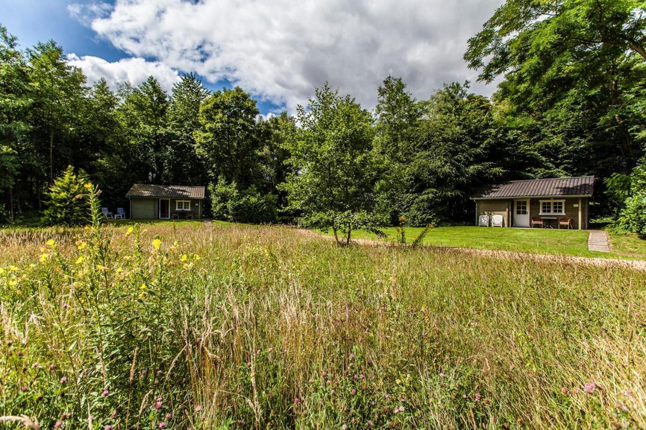 Kievit Villa Appelscha Eksteriør bilde