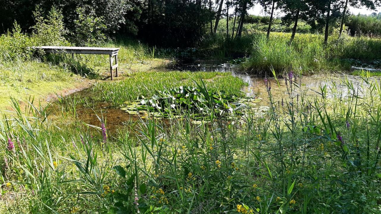 Kievit Villa Appelscha Eksteriør bilde