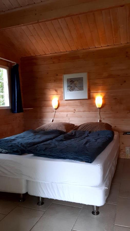 Kievit Villa Appelscha Eksteriør bilde